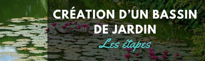 creation bassin de jardin